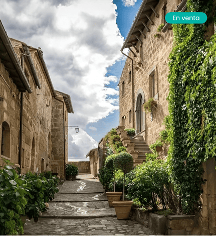 Vallés Occidental