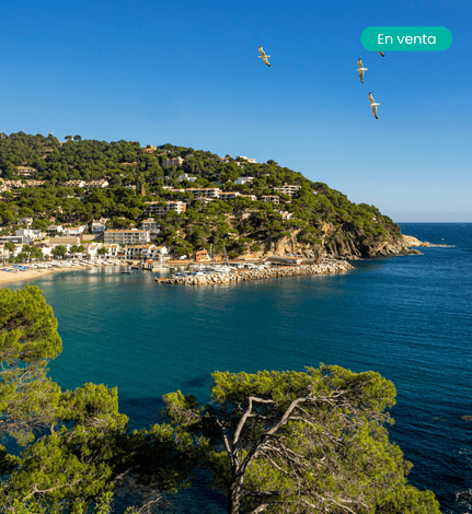 Baix Empordà